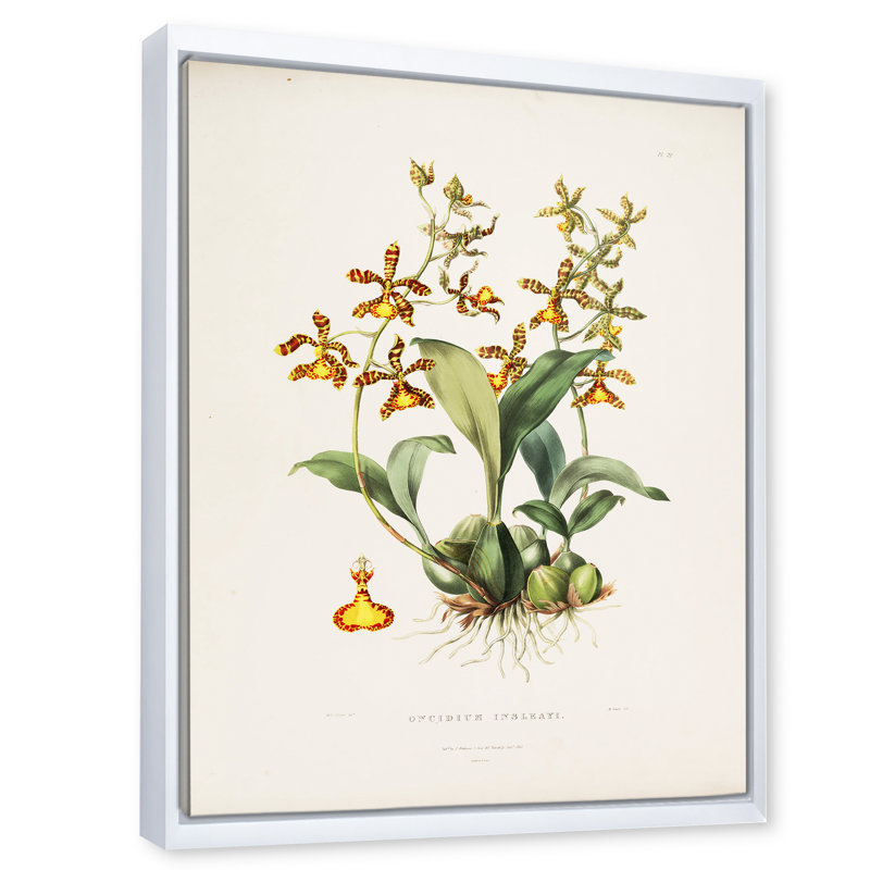 Fleur rétro I - peinture sur toile, H 20 po x l 12 po x P 1po, Cadre flottant blanc