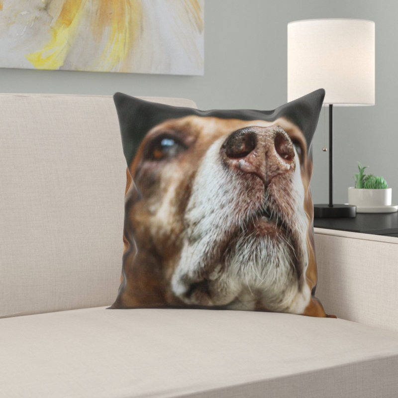 Coussin pour chien