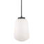 Luminaire suspendu DEL 7 po Domalapalli - noir-120725594