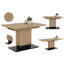 Kerber Extendable Dining Table