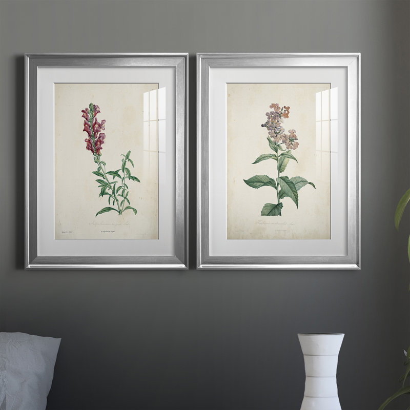 «Traditional Botanical I», reproduction encadrée de qualité supérieure, prête à être accrochée, H 24,5 po x l 37 po x P 1 po