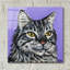 «Tough Cat» par Carolee Vitaletti-472248073