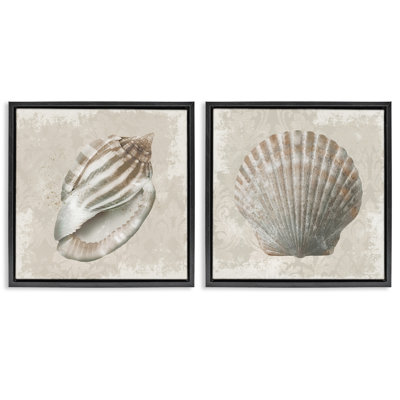 Seashells over Subtle Damask 2 Piece Framed Floater Canvas Set, design by Conrad Knutsen