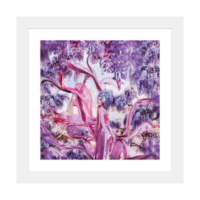 Impression de photo « Wisteria Hysteria » par Hobopeeba