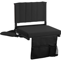 Narcizo Reclining Stadium Seat with Cushions Ebern Designs Color: Black