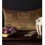 Antiquity Lumbar Pillow Cover & Insert