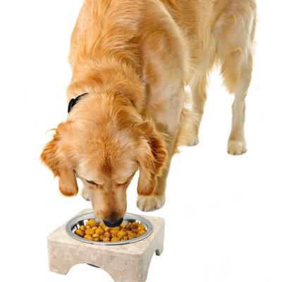Natural Beige Marble Raised Pet Bowl with 1 Quart Stainless Steel Insert, Arched Scalloped Style