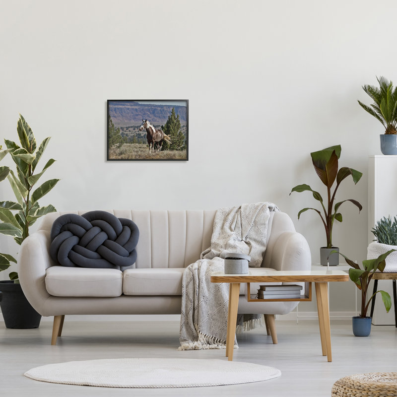 Wild Horse Southwestern Landscape Canyon Cliff par - impression, H 16 po x l 20 po x P 2 po, Cadre noir