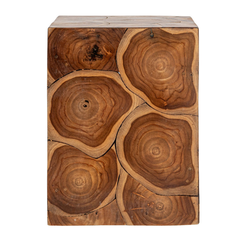 Mesa Square Teak Root Slice End Table