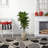 Silvie 48'' Faux Foliage Plant in Ceramic Planter