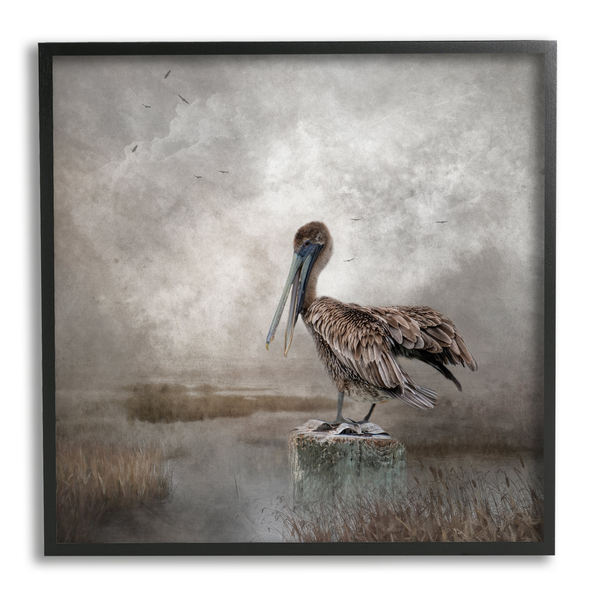 Stupell Industries Pelican Bird Waterside Marsh Gray Framed Giclee Art ...