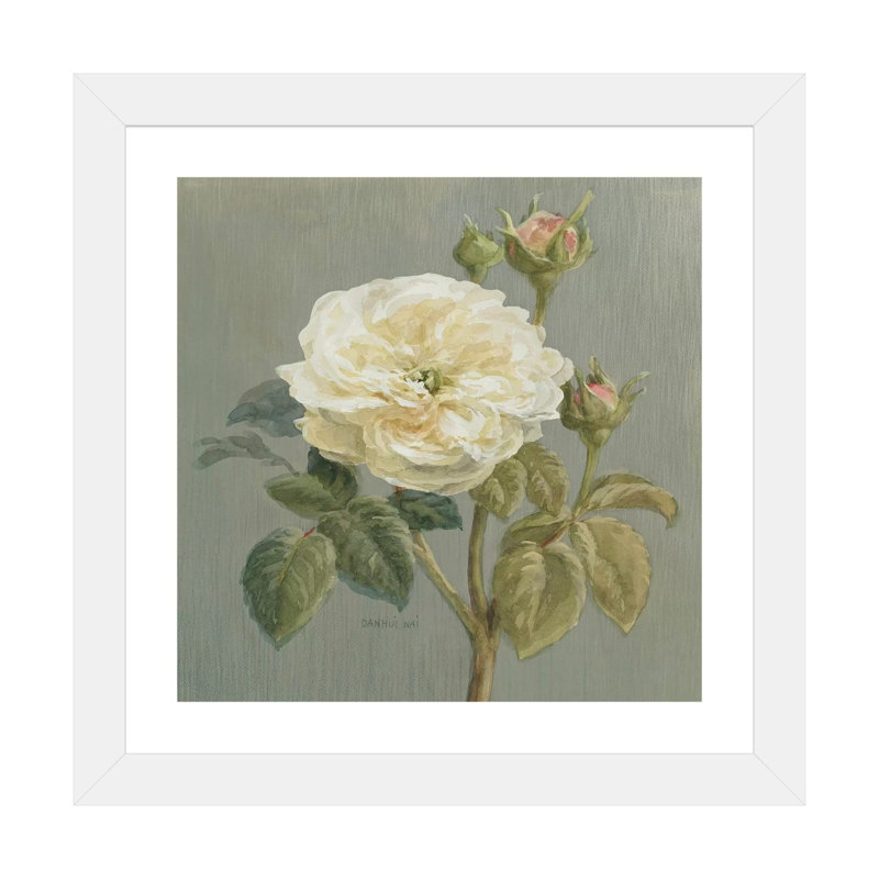 «Heirloom Rose» par Danhui Nai - reproduction d'art, Blanc, H 24 po x l 24 po x p 1 po, Papier encadré blanc