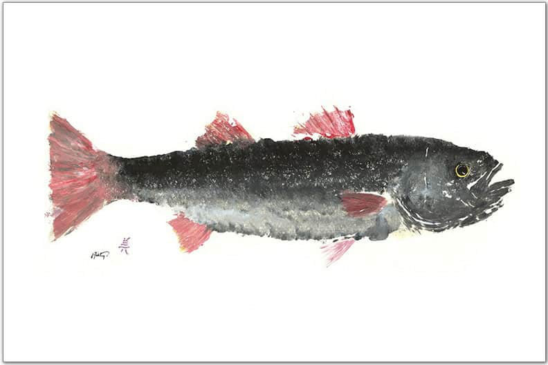 Napperon rose et gris Striper - ensemble de 8 décorations Gyotaku