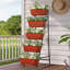 Jardinière verticale surélevée à 5 niveaux-464399671
