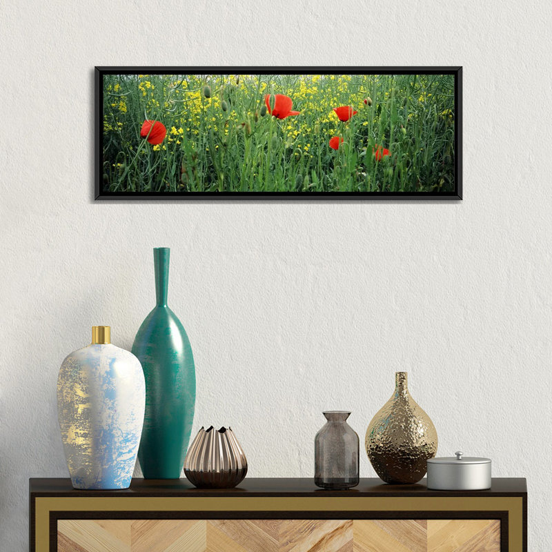 Panoramic Photograph on Canvas, 12" H x 36" W x 1.5" D, Black Framed