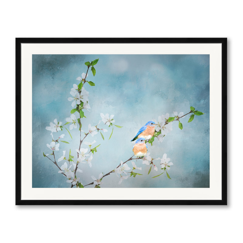 Blue Birds In Cherry Blossoms 3 Print, Black Framed Paper, 30" H x 24" W