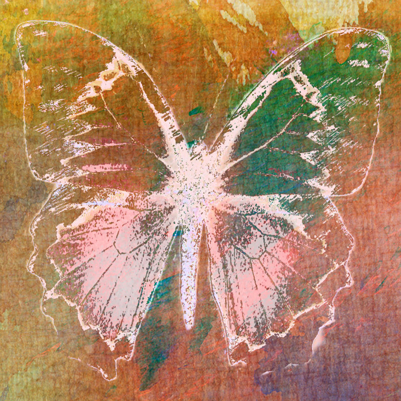 Sia Aryai - Wrapped Canvas Painting, 45cm H x 45cm W x 3.81cm D