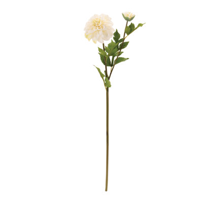 Dahlia Flower Stem