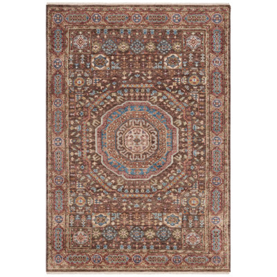 Oriental Hand Knotted Wool Oriental Rug