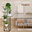 Plant Stand