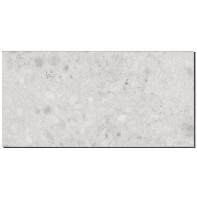 SAMPLE-Rizzo Rigid Core Click LVT 0.19685 Thick 12 W x 24 L