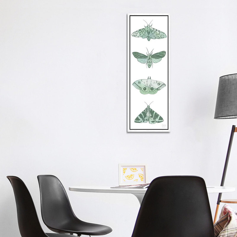 Four Moths - Panoramic Print on Canvas, 121.92cm H x 40.64cm W x 3.81cm D, White Floater Framed
