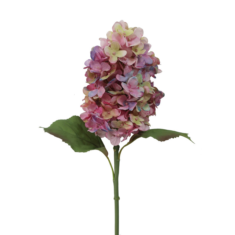 HYDRANGEA WATER COLOR