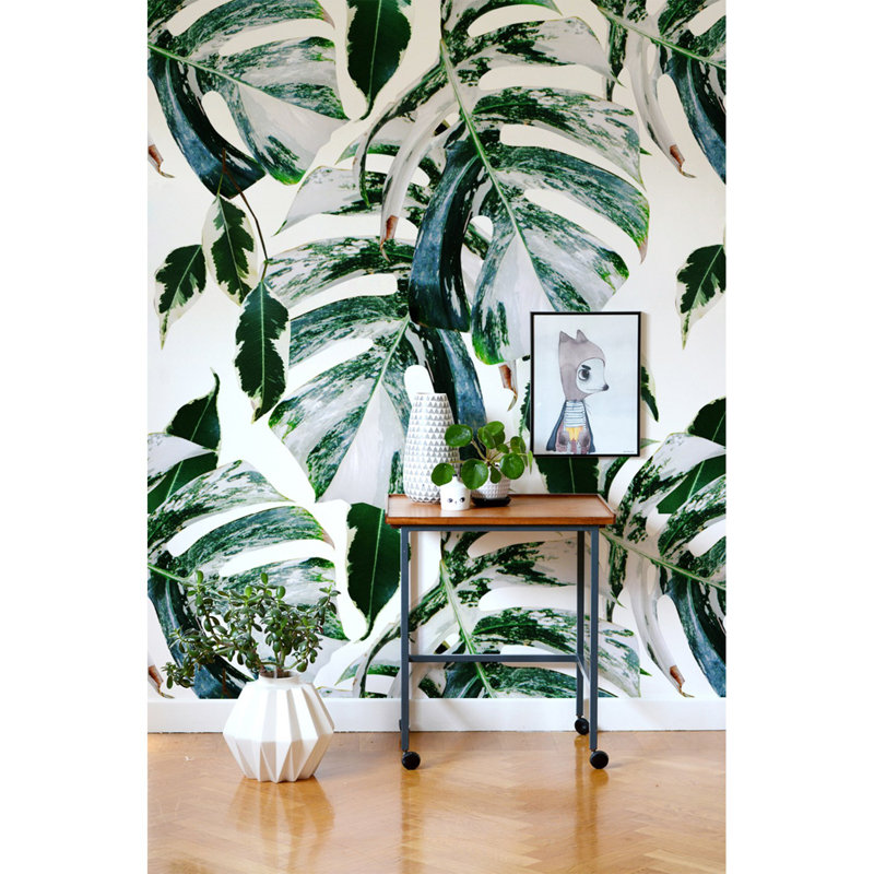 Eburnean 2.5m x 2.5m Matte Wallpaper Roll, 416 x 254cm