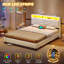 Upholstered bed with LED lighting and sockets-119598638-119598639