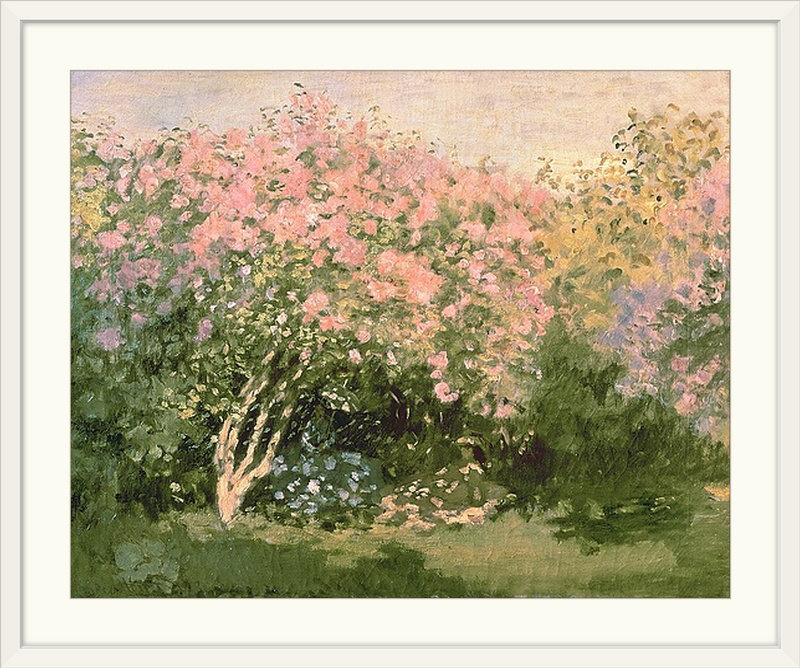 Lilas au soleil par Claude Monet - reproduction, H 24 po x l 28 po x P 1 po, Cadre blanc