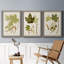 Feuilles antiques IV - ensemble de 3 peintures sur toile encadrées-1306045712-1306045715