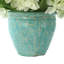 White Hydrangeas in Teal Ceramic Vase