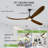 Smart Ceiling Fan With Light And Remote, Remote & App Control, Solid Wood Blades, Reversible Dc Motor-1149306939-1149306942