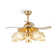 Isco Ceiling Fan with 5 Light Kit