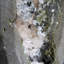Birode Gemmy rose apophyllite géode