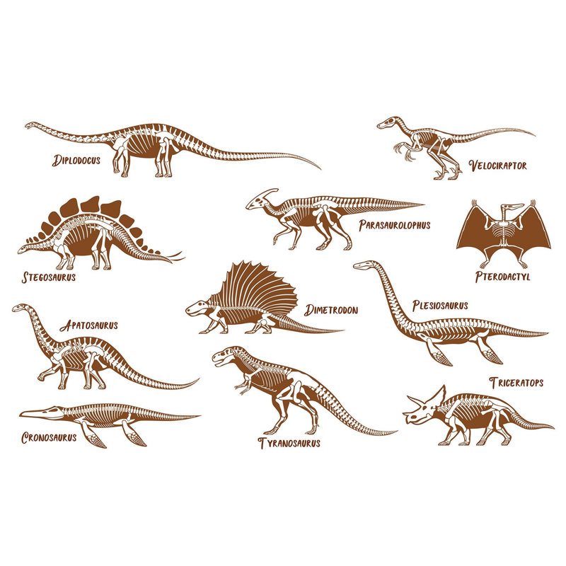 Murale pelez et collez de qualité supérieure - ensemble d'illustrations de dinosaures, L 144 po x l 210 po