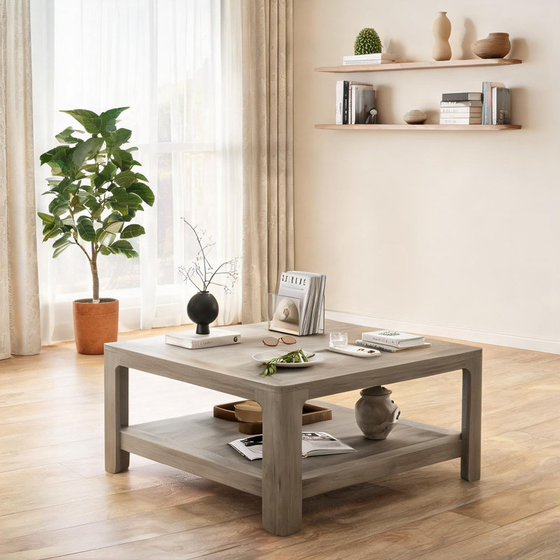 Table basse carrée avec finition gris ardoise et rangement ouvert à double couche pour le salon