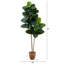 72'' Faux Rubber Tree Tree in Planter