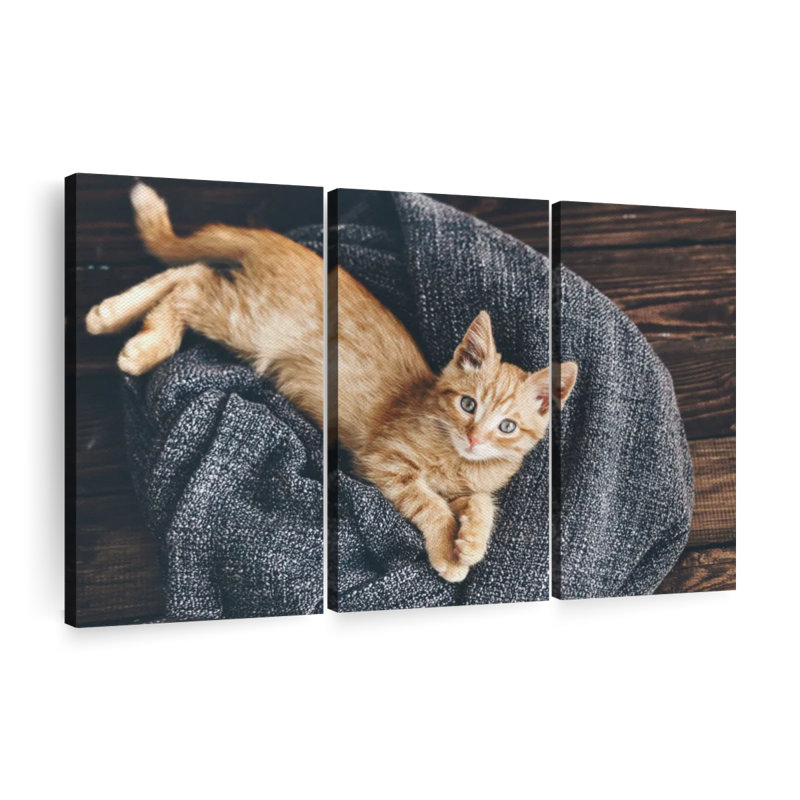 " Resting Cat " 3 - Pieces, 32" H x 50" W