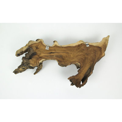 Coastal hand-carved brown wood humpback whale trio wall hanging on driftwood, 20 inches wide