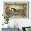 Distinguished Horses IV - reproduction d'art sur toile encadrée-1946686337-1946686341