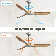 Karly 60" Ceiling Fan with LED Lights