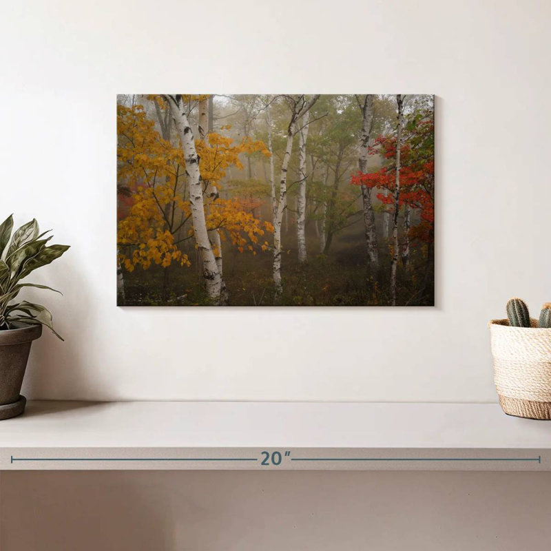 Alvord Autumn Birch Forest, H 8 po x l 12 po