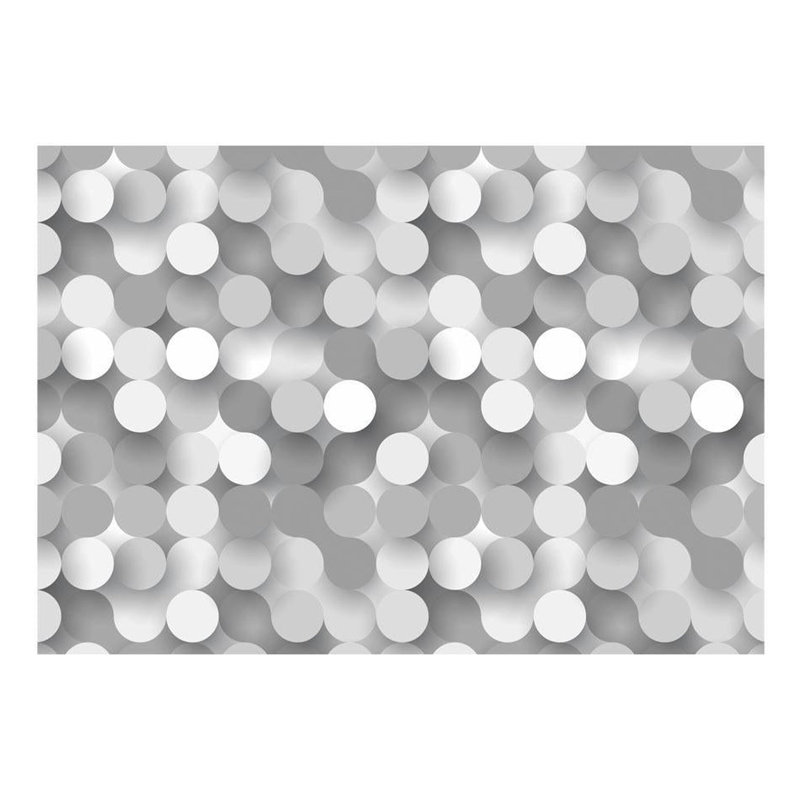 Ammie-Leigh Polka Dots Wall Mural, Silver, 96" L x 137" W