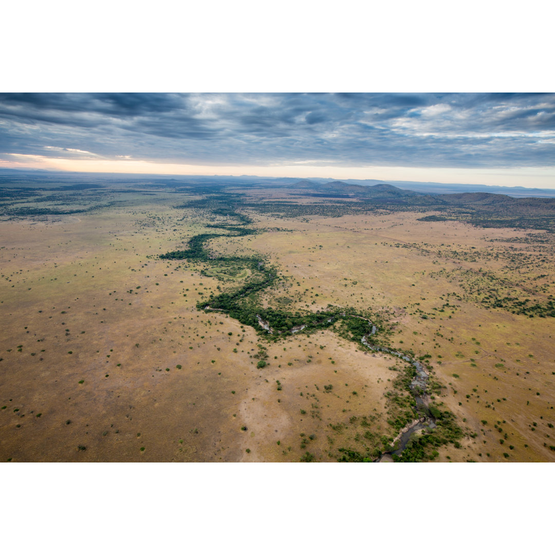 Serengeti-Ebenen - Leinwandbild