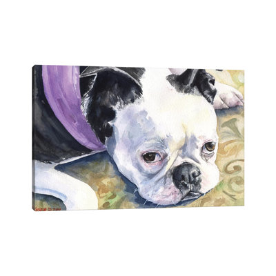 Boston Terrier by George Dyachenko - Wrapped Canvas Painting