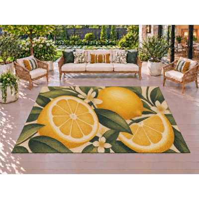 Tapis d'extérieur de 5 pi x 7 pi en PVC robuste et imperméable à l'eau, tapis de patio robuste, tapis d'extérieur à séchage rapide pour la véranda, le balcon, l'entrée, le camping.