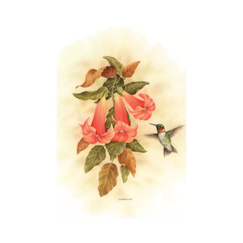Hummingbird Delight - impression d'art graphique, Aucun mat, Toile tendue, H 18 po x l 12 po x 1,5 po