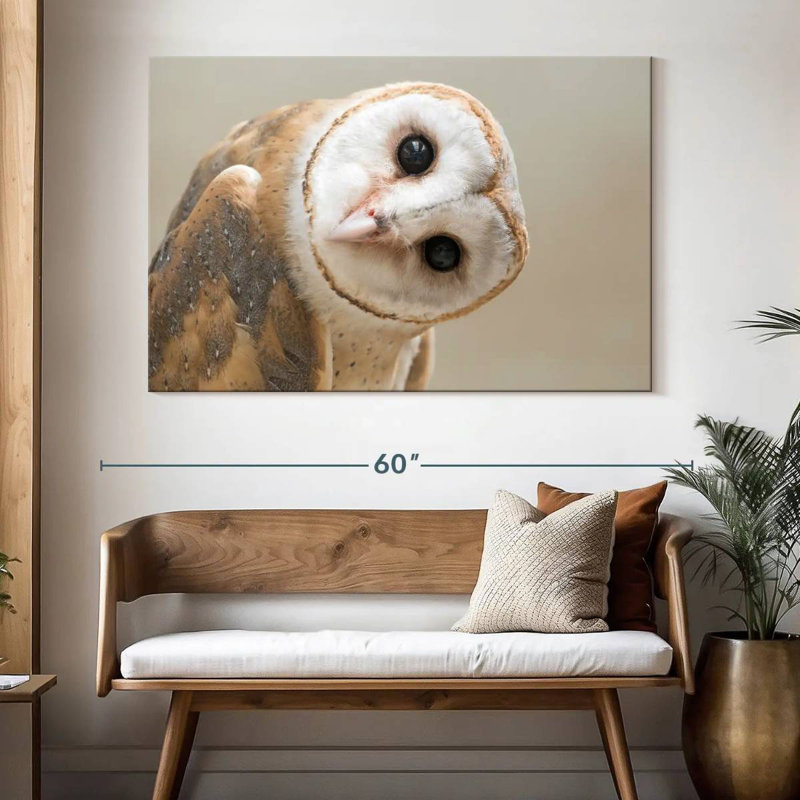 Hibou Brampt, H 34 po x l 51 po