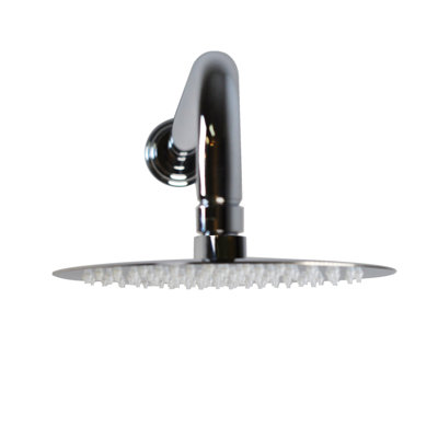 Pomme de douche 8 po